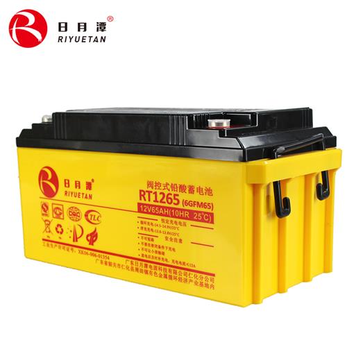 日月潭12V65AH RT系列EPS专用的标准AGM铅酸蓄电